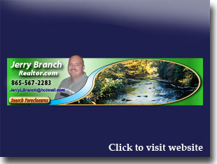 Link to website for Jerry Branch realtor