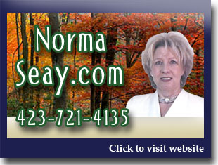 Link to website for Norma Seay realtor