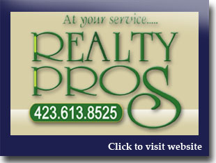 Link to website for Realty Pros