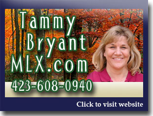Link to website for Tammy Bryant MLX